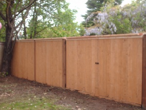 Fences project photo 1